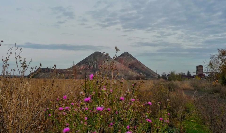 Двое инвесторов намерены заняться обработкой терриконов на шахтах Луганской Народной Республики