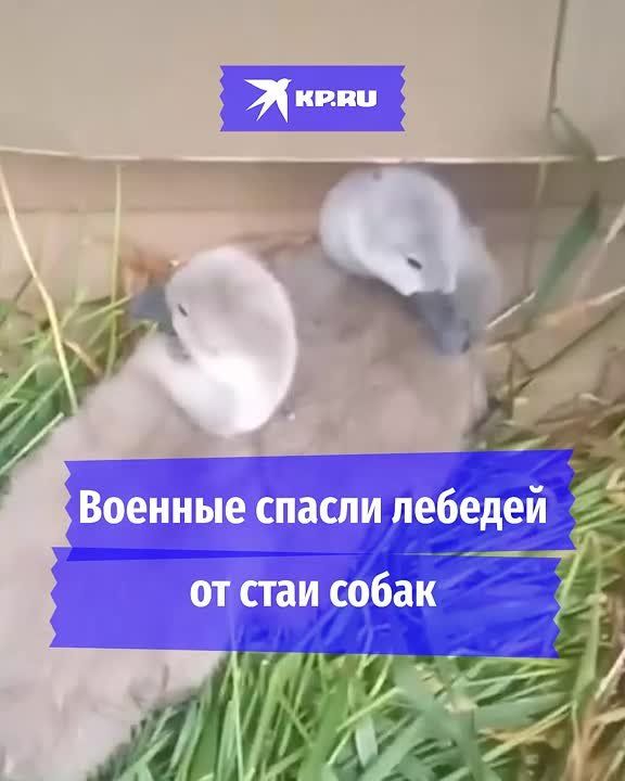 ����� ��� ������ �� ��������� ����� ���� ������� � ���