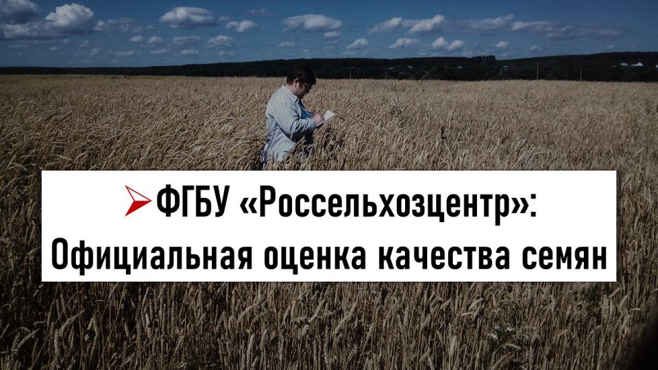 ��������� � ������ 2025 ����