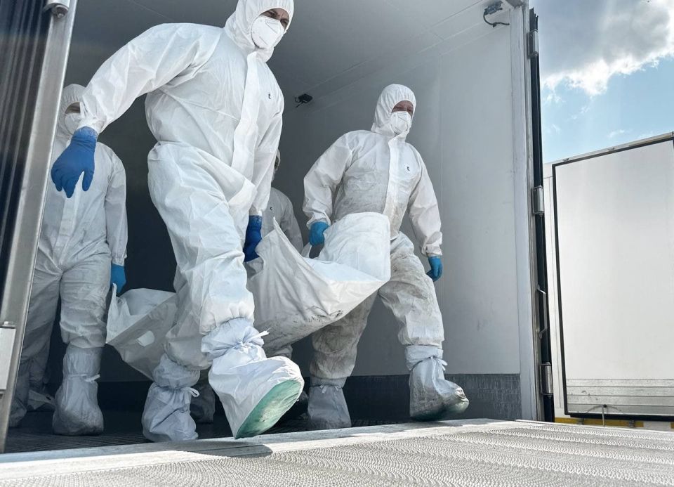 ������ �������� ���������� ������� 6060 ��� �������� �������� � ������ ����������� ������������ ��������� ������