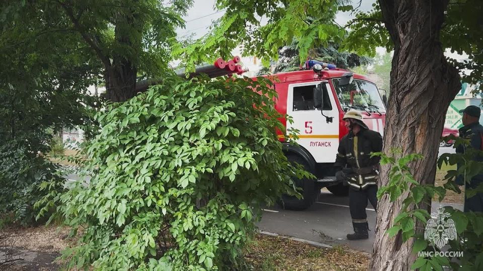 ����� � �������� ������������