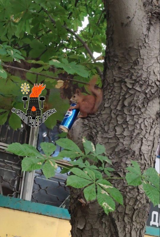 �� ������� �������� ����� ������������� �������