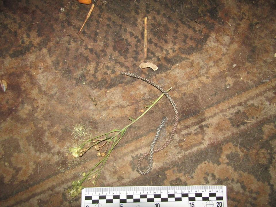 Жительница Антрацита убила 74-летнюю пенсионерку