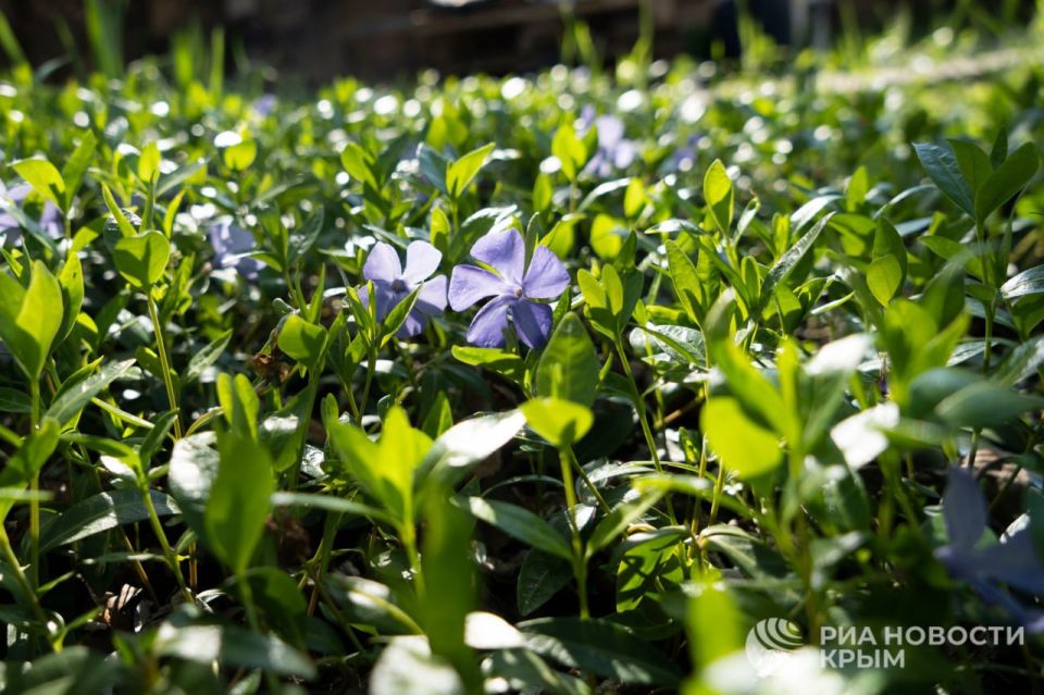 ������ �� ����� ����������� ������