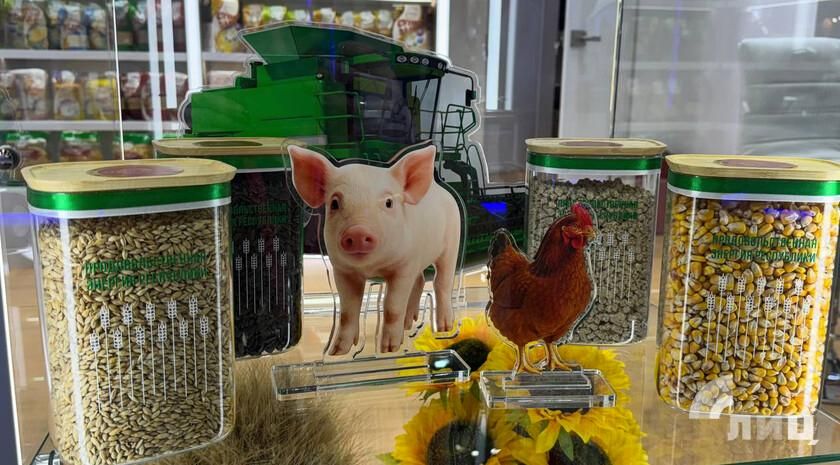 ����������� ���������� �������� � ��� ��� ��� �������������� � ������� �� ������������ ��������� ����