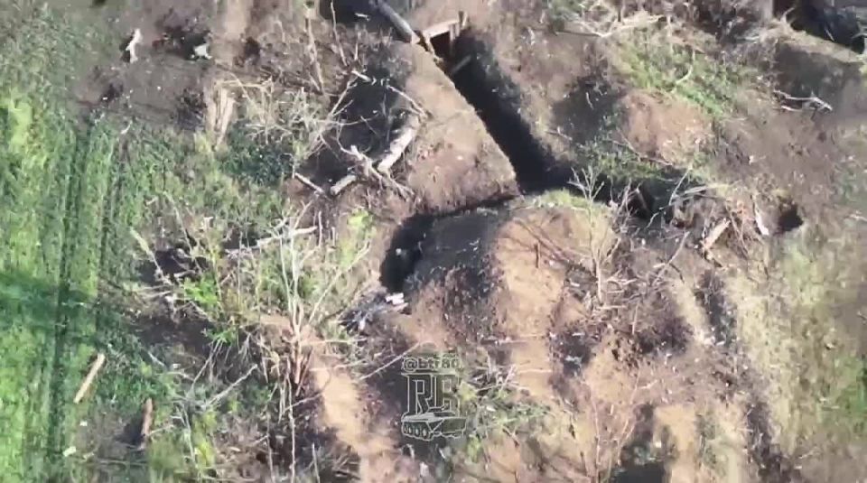 �� ����� ����� � ������: ��� ���� FPV �������� ���������� �� ��������