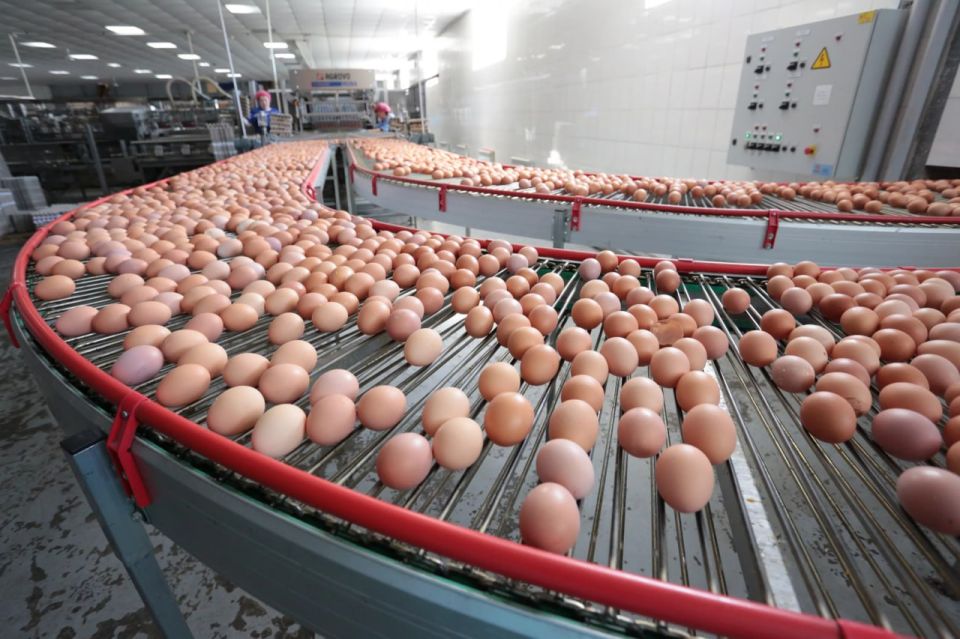 �������� ���������� ��������� ��������� ���� ����������� � ���, �������� 2 ����� �������������� � ����������� ������� �� ������������ ��������� ����