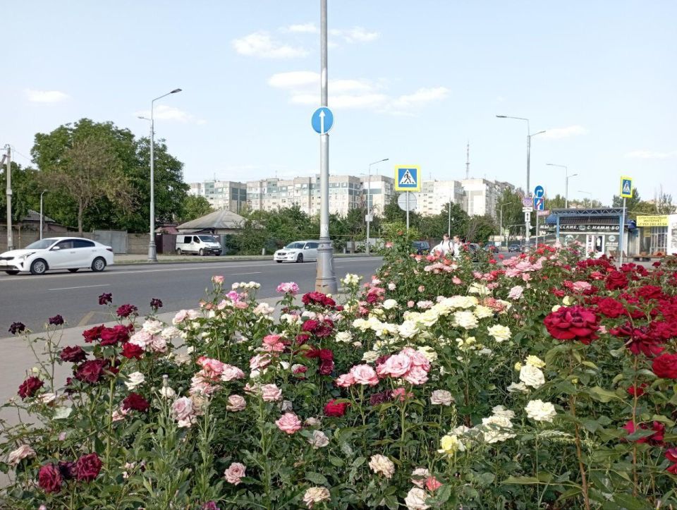 В этом году Луганск украшают более 25 тыс