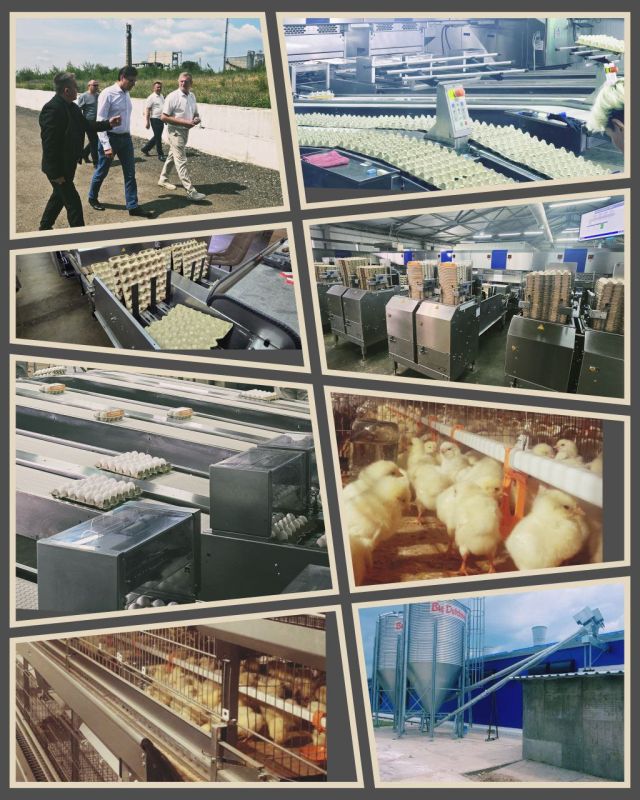 ������� ��������� ��������� ��� ������� ������� ����������� � ������������� ��������������� ����������� "����" � ������������ ������