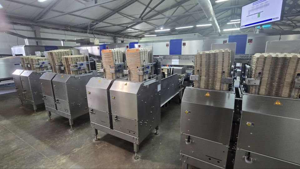  :   ѻ,         ,        -