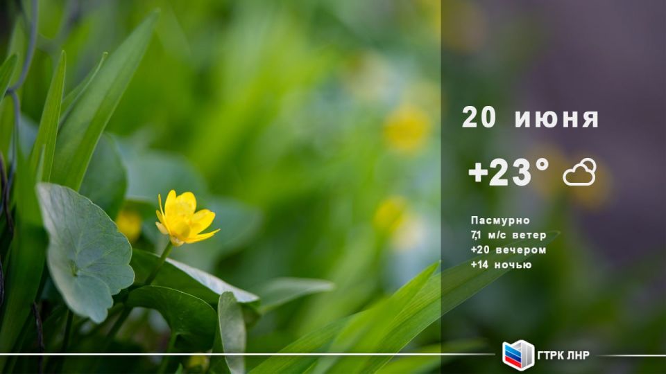 ������ ����, ��������� �������� ����������!