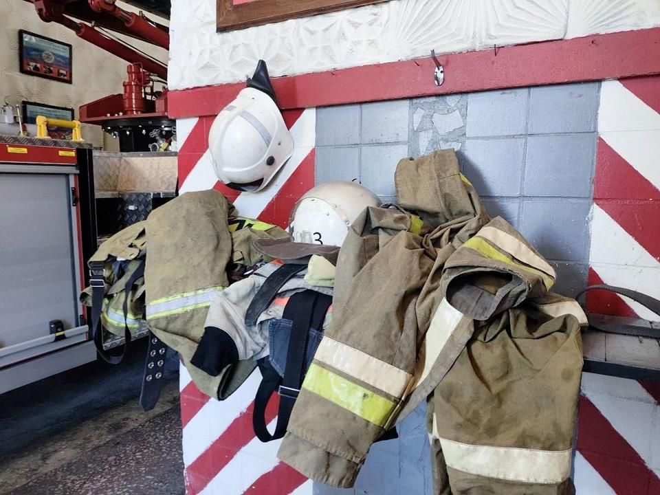 � ��� �� ����� ������������� 14 �������