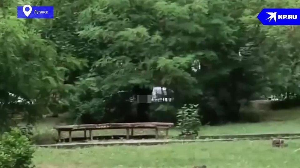 Извращенца из луганского сквера нашли по видео: Им оказался пенсионер