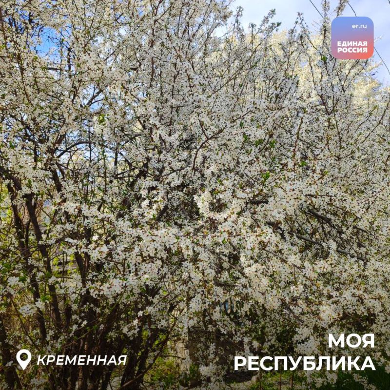 ��������� �������� ���������� ������������ � ����������: ����� ����� ������� � ������ ����, ���� ������� �������� ��������, � ������� ������������