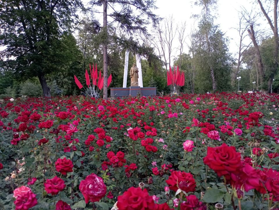 Яна Пащенко: В столичном Парке культуры и отдыха им. М. Горького состоялась памятная акция, приуроченная годовщине начала Великой Отечественной войны