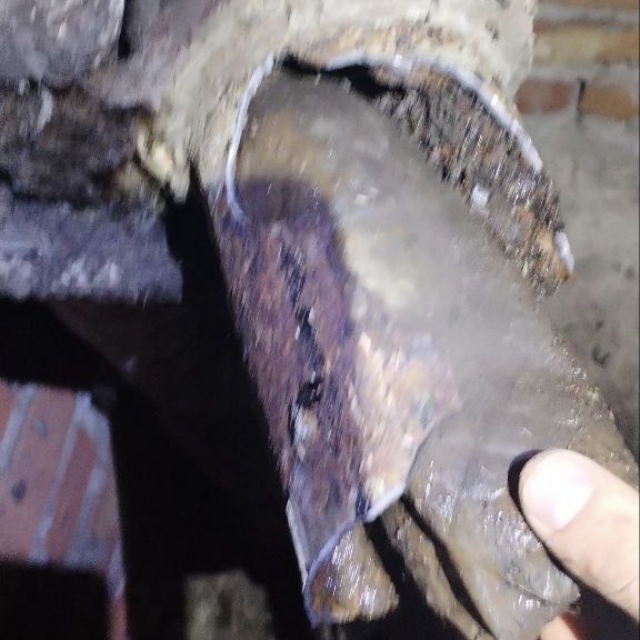 �� ����� ������������, �. 95, 2 ������� ��������� ������� �������� �����������