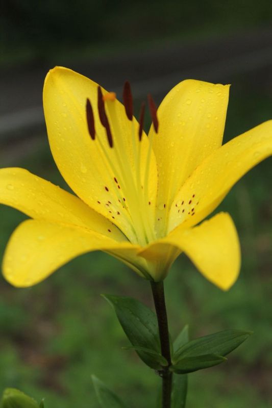 ������� ����� ������ � �����!