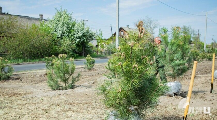 ����� 92 ���. �������� �������� � ��� � ���� ���� � ������ ����� ���� ������ � ����������