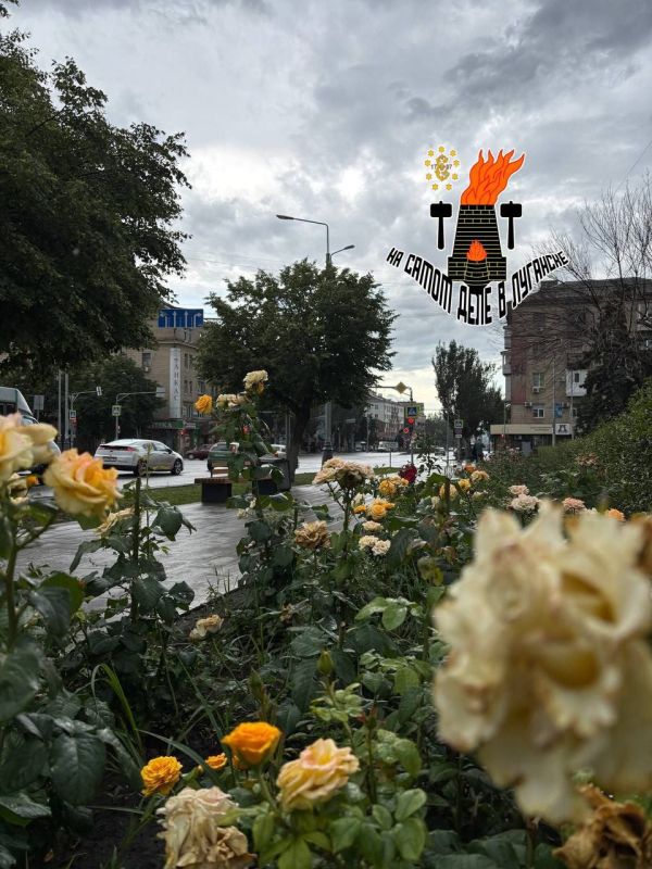 ������, ���������, ���������� � ������� �������