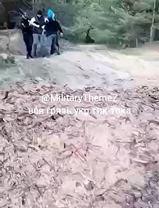 ������� �� ����� ������ �������� � �������� ������� � ����������, ������� � ��� ����� �������