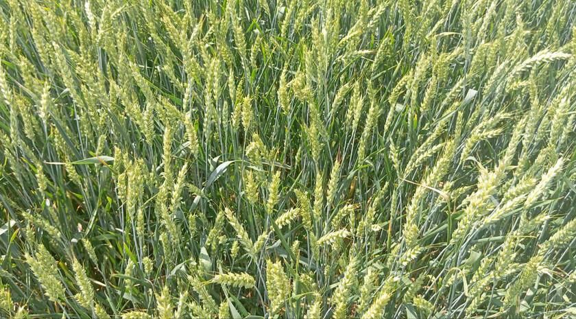 �� ����� ����� �������� ���������� 26 ����