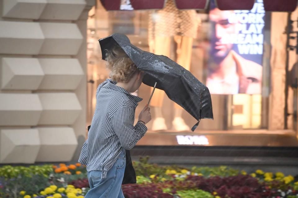 ������� ����� � ����� ������������ ��������� � �������� 23 ����