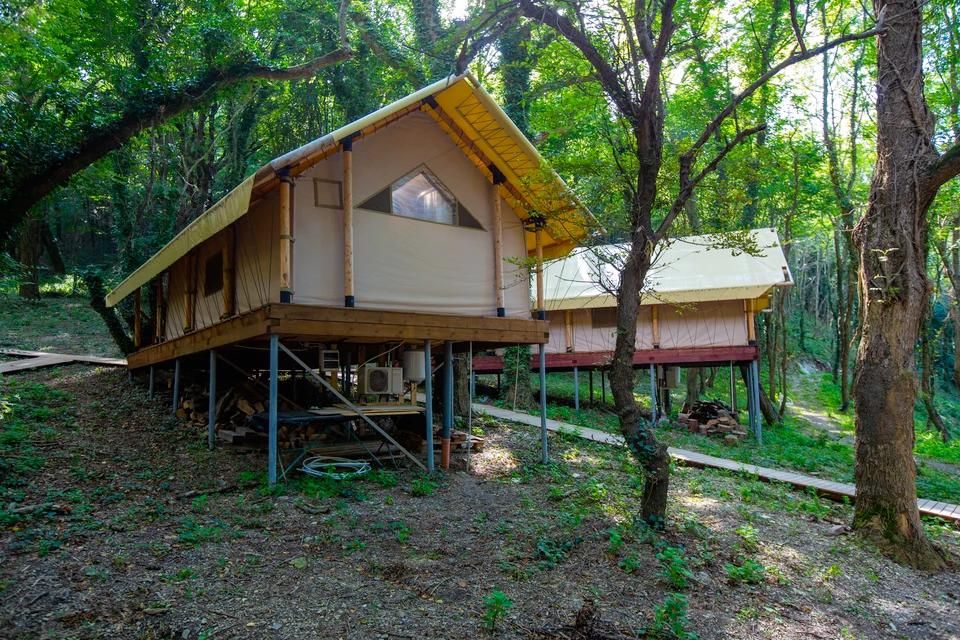 � ��� ������ �������� �� �������� ���������� ��������������