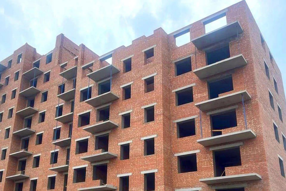 ������������� ����� ����� ������������ � ����������� ��������� �� 50%