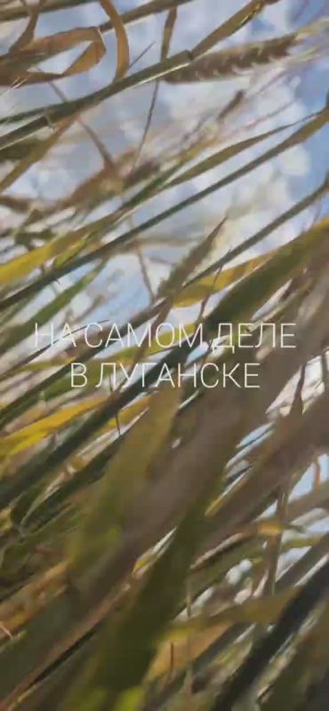 �� ����� � ��������� �������� ������� ������