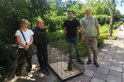 ������ ��������� ��������� ������ � �������� ������ ��������