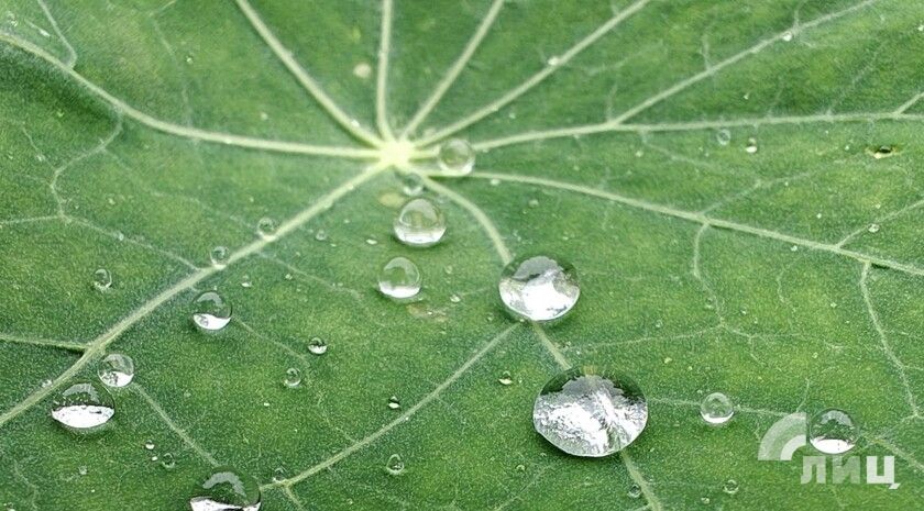 ��������� ������������ 26 ���� � ��� �� 25 �������� ����� � ������� �����