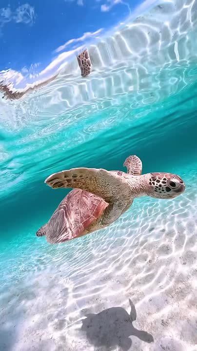 ������ �� ����� ��������. ��������� ������ ����