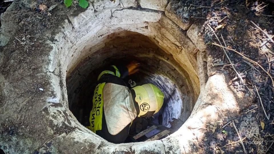 ��������� ��� �������� ������� �� ��� � ��������