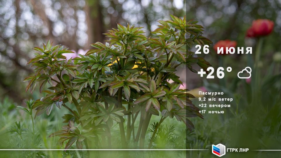 ������ ����, ��������� �������� ����������!