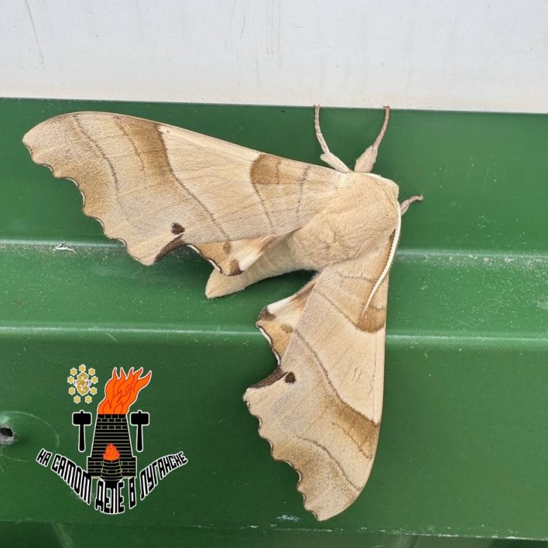 � �������� ��������� ������������� �������