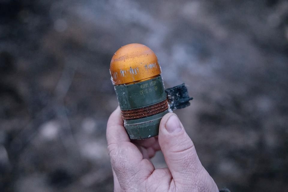 �� ����� �� ��������� ������ �������� ���������� ����������� �����������