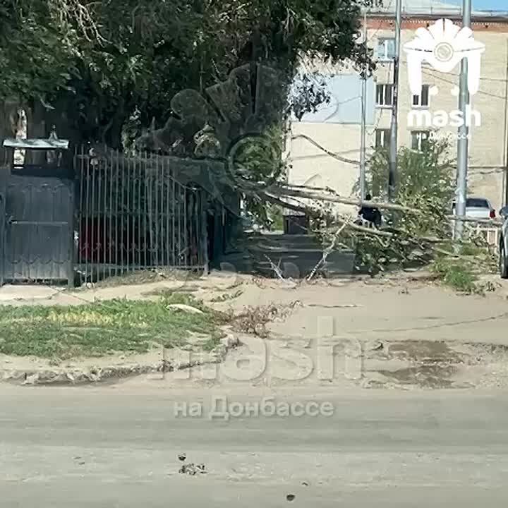 ������ � ��� ������ ������ � ��������