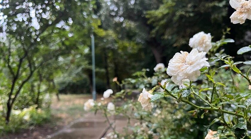 ��������� ������������ 27 ���� � ��� �� 27 �������� �����, ����� � ���������� �����