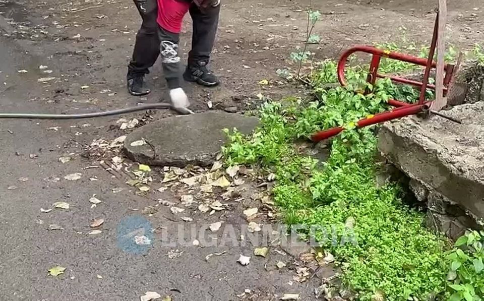 � �������� ���� ������ �� �������� ������� ������������ ���������