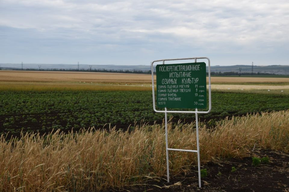 ���� ���� ������ �����������