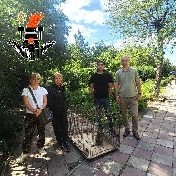 � ������ ���������, ������� ������ � �������� �������, ����� ��������