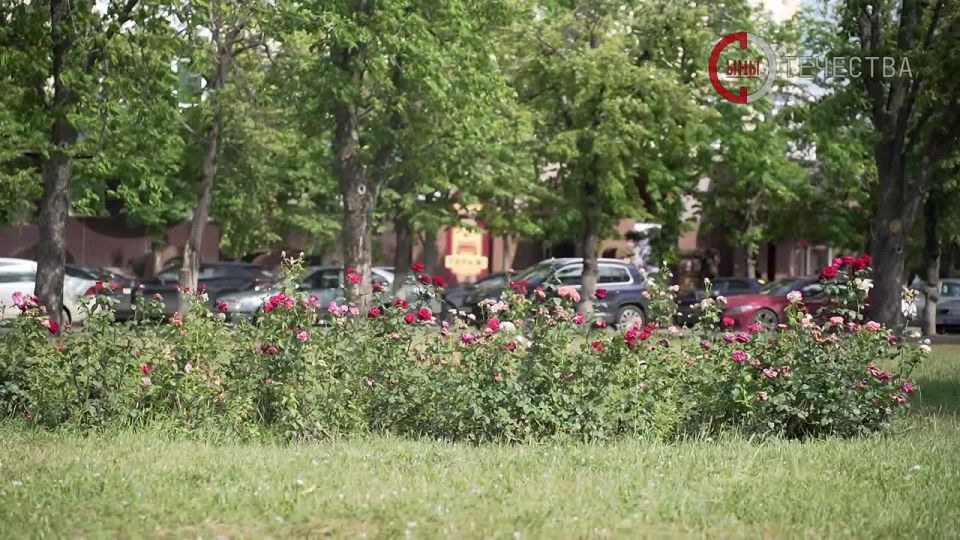 ������������ ����������� ����������� ���������� ������� ��������� �� ����� ��������, �������� ������ �� ���������� � ��������������� ������