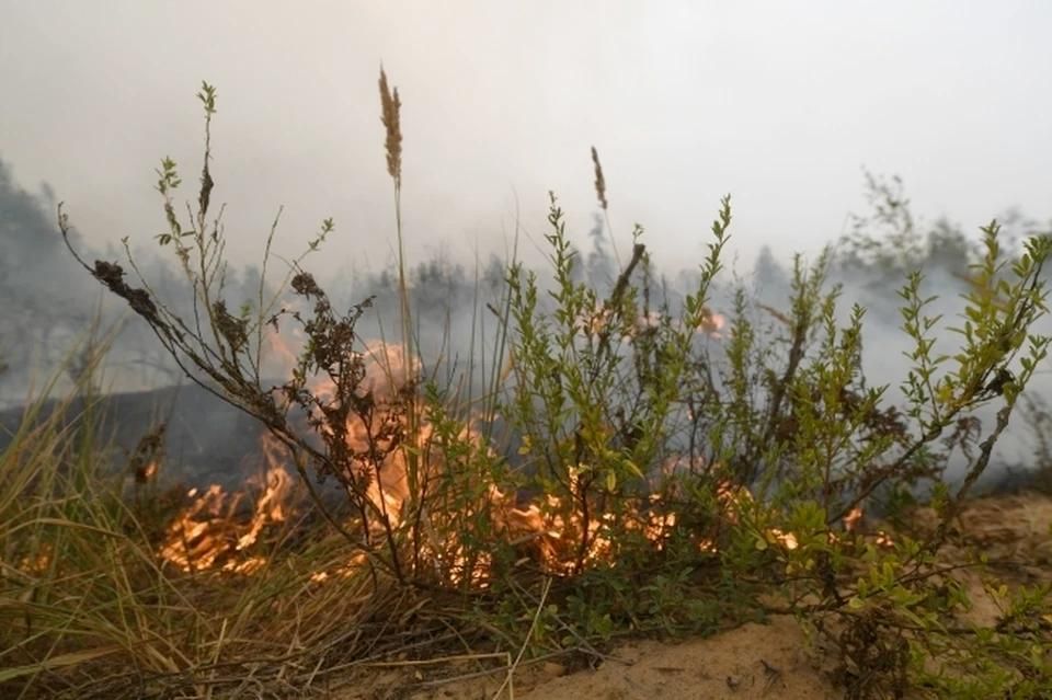 � ��� ������ ����� ����������� ������� ��-�� �������� ������