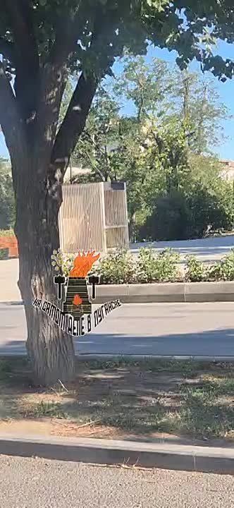 ���� ����� ������ �������� � ����������� ������������ ��� �������