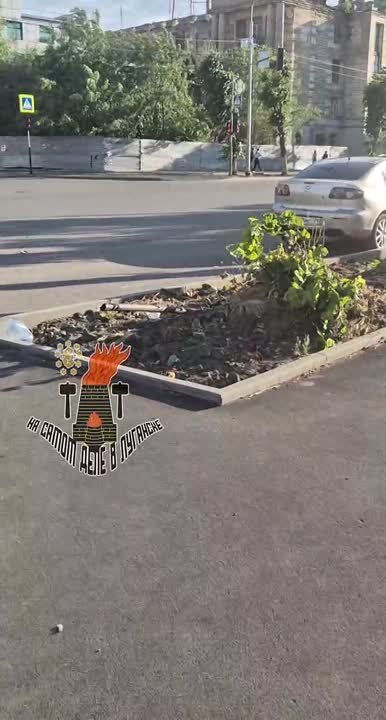 ����������� �������� � ������������