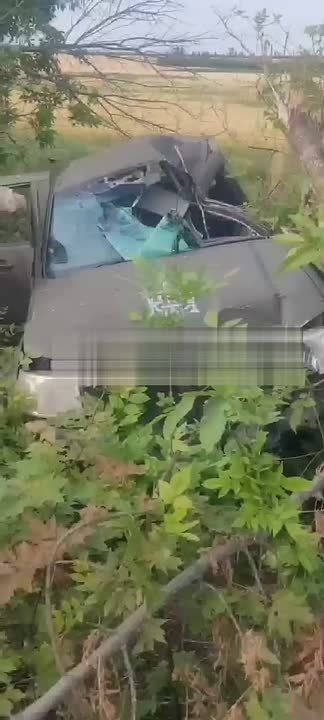 ���������� FPV-���� ����� ���������� ����������� �� ���������� ��������