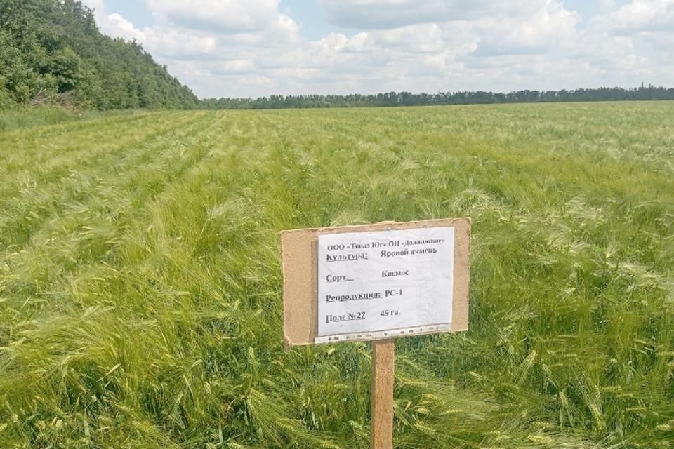 ������� ��������� ��������������� ������� � ��� �������� �����