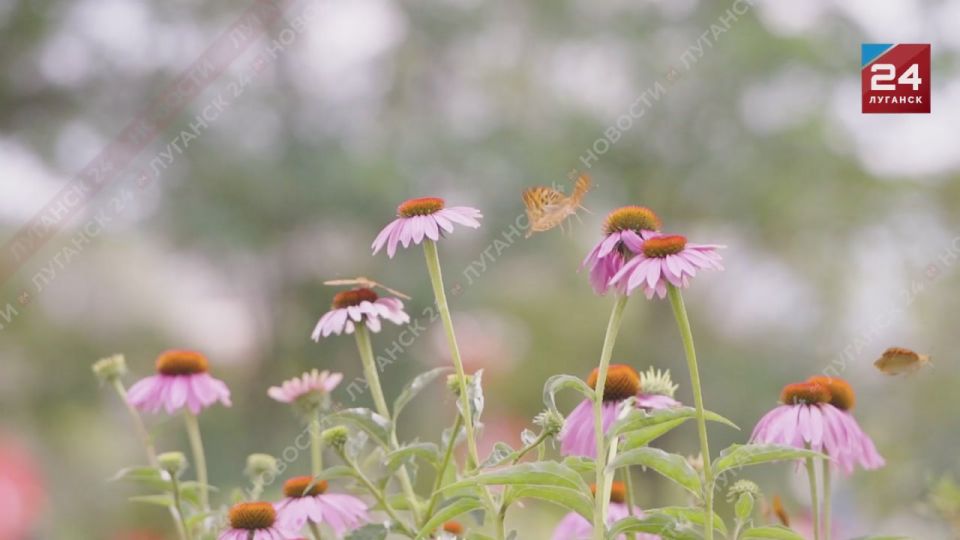 ������ 30 �������� �������� ��� ������ ����������� ��������� � ��������