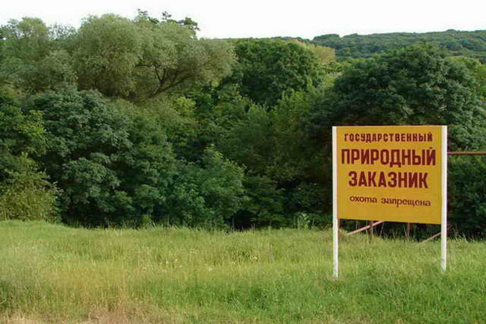 1 ��� �������� � ����������� ������������� ���������� � ��������