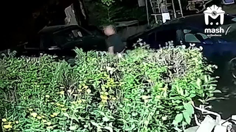 ������, ������, �������� � ������ �������� �������� �� ��������� �� ������